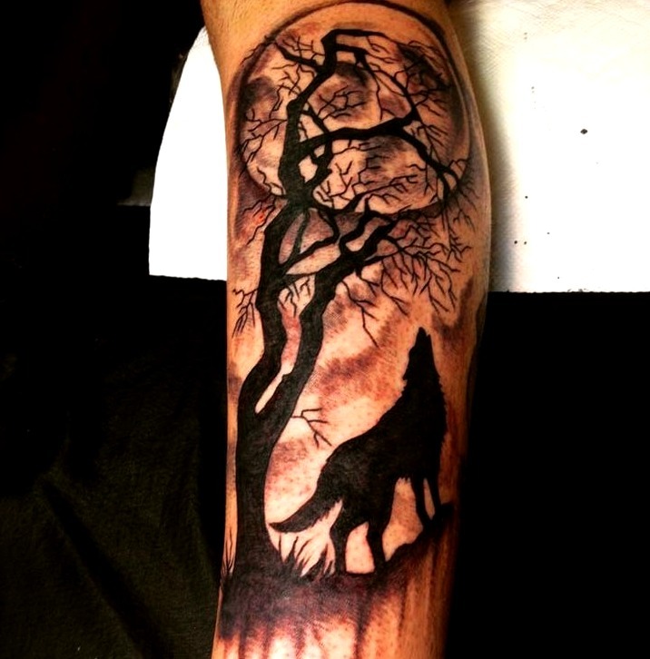 Silueta lobo aullando