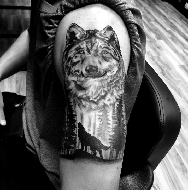 Diseño bosque lobo