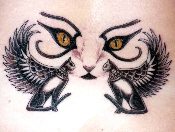 Diseño ojos felinos