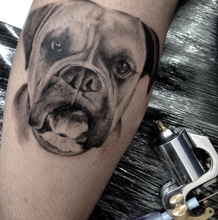 Retrato perro boxer