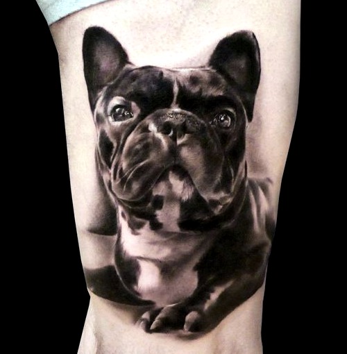 Bulldog inglés diseño