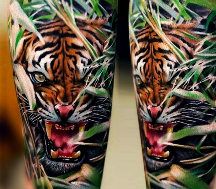 Diseño tigre agresivo