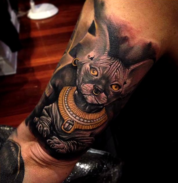 Tatuaje gato sphynx floral