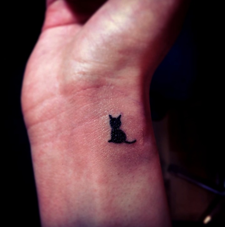 Diseño minimalista gato