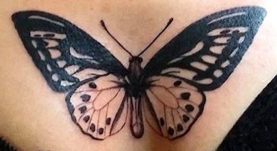 Diseño mariposa esternón