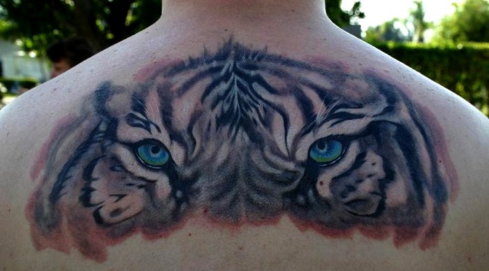 Diseño ojos felino