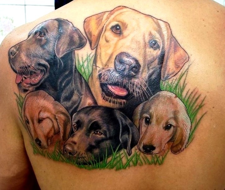 Diseño labrador retriever