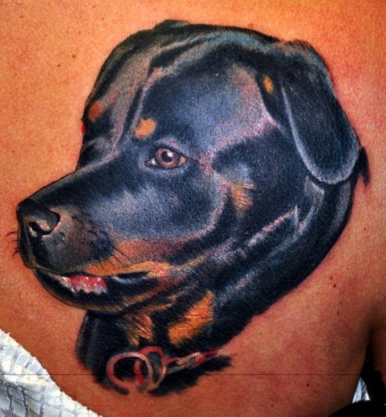 Retrato rottweiler tattoo
