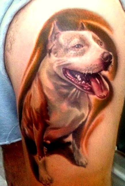 Tatuajes de pitbulls